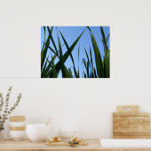 Gras Poster (Keuken)