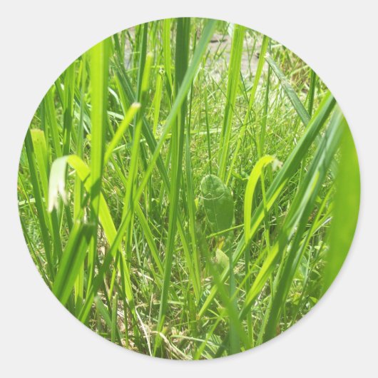 Gras Ronde Sticker (Voorkant)