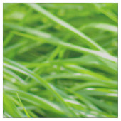 Gras Stof (Swatch)