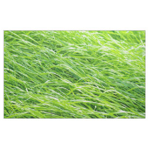 Gras Stof