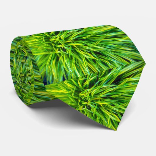 Gras Stropdas (Opgerold)