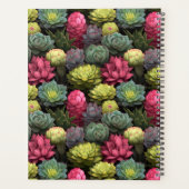 Gras Succulents (Dos)