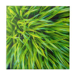 Gras Tegeltje