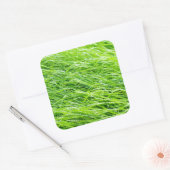 Gras Vierkante Sticker (Envelop)