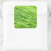 Gras Vierkante Sticker (Tas)