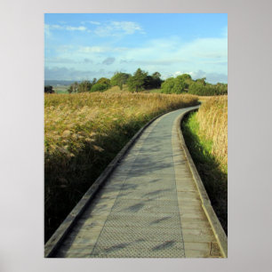 grasbaan poster