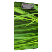 Grasblades Klembord (Rechts)
