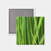Grasblades Magneet (Voorkant / Achterkant)
