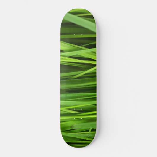 Grasblades Skateboard (Voorkant)