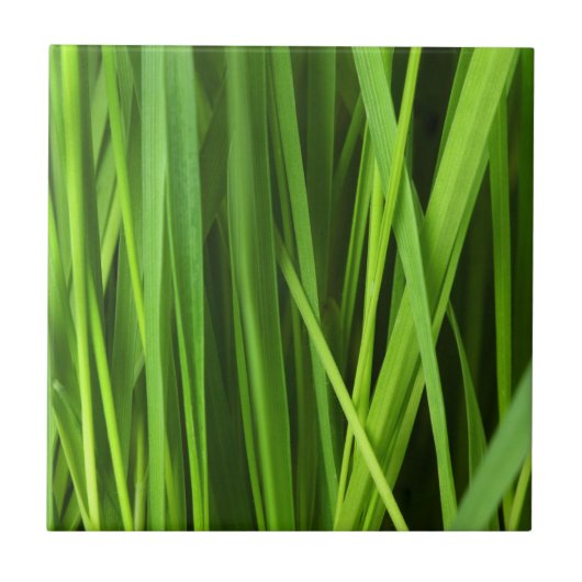 Grasblades Tegeltje (Voorkant)