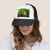 graskuiken trucker pet (In situ)