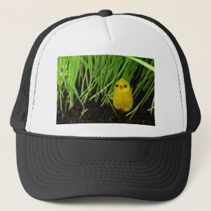 graskuiken trucker pet