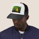 graskuiken trucker pet (In situ)