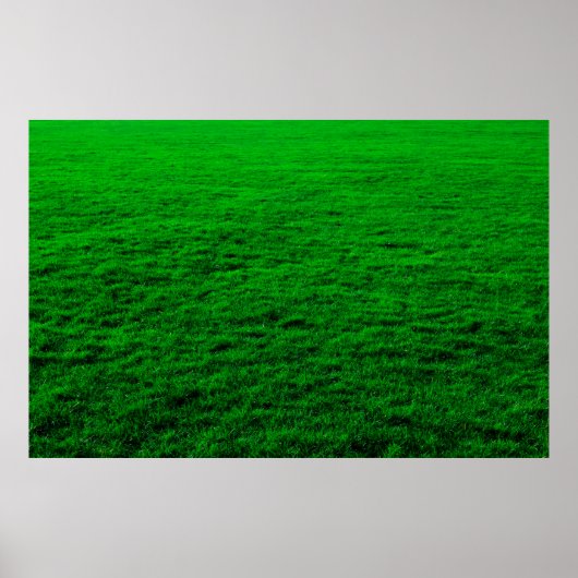 Grasland met achtergrondgroen gras poster (Voorkant)