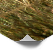 Grasland met grijze olifant poster (Hoek)