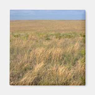 Graslandprairie ten oosten van Sidney, Nebraska. Magneet