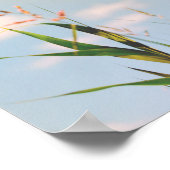Grass Blue Sky Field Meadow Nature Poster (Coin)