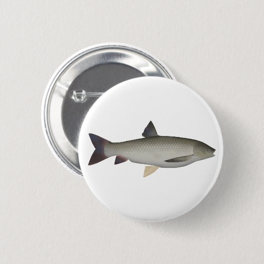 Grass Carp Button (Voorkant /achterkant)