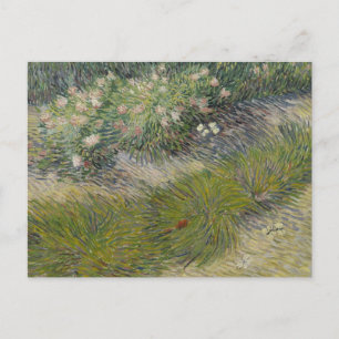 Grass en Butterflies van Vincent van Gogh Briefkaart