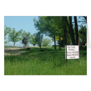 Grass Fed Organic Eggs