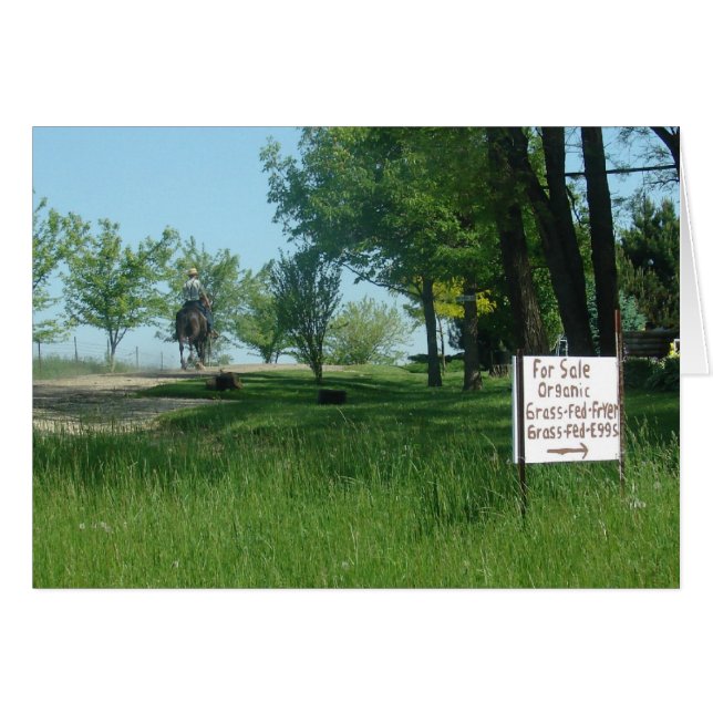 Grass Fed Organic Eggs (Voorkant Horizontaal)