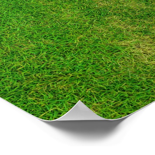 Grass Lawn Poster (Hoek)