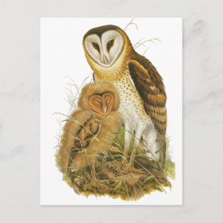Grass Owl Briefkaart