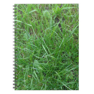 Grass Photo Notitieboek