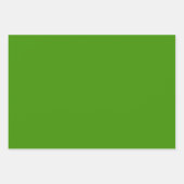 Grass rayé vert et papier d'enveloppement bleu den (Devant 3)