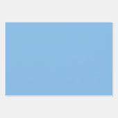 Grass rayé vert et papier d'enveloppement bleu den (Devant 2)