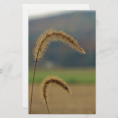 Grass Seed Stalks Briefpapier (Voorkant / Achterkant)