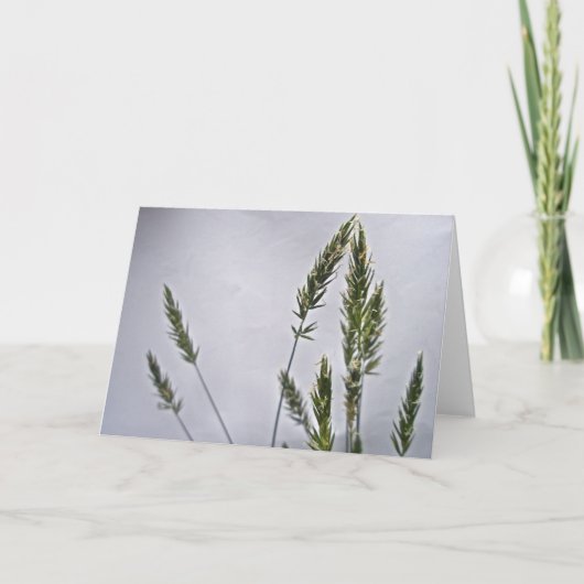 Grass Seeds Note Kaart (Voorkant)