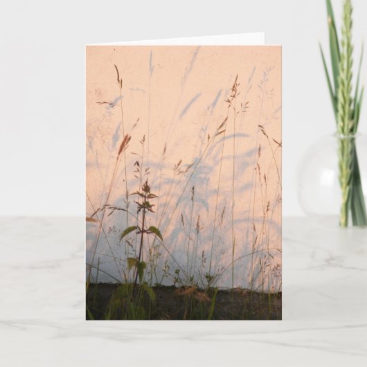 Grass Shadows Kaart (Voorkant)