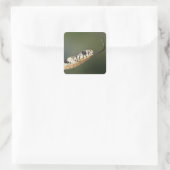 Grass Snake Vierkante Sticker (Tas)