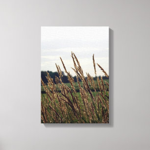 Grassen die in de wind blazen canvas afdruk