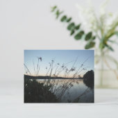 Grassen op het Sunset-meer Briefkaart (Staand voorkant)