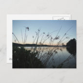 Grassen op het Sunset-meer Briefkaart (Voorkant / Achterkant)