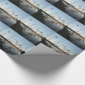 Grassen op het Sunset-meer Cadeaupapier (Hoek)