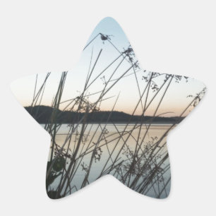Grassen op het Sunset-meer Ster Sticker