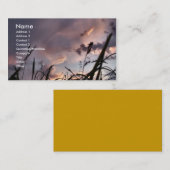 Grassen Visitekaartje (Voorkant / Achterkant)