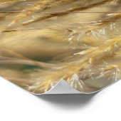 Grassen voor sierdoeleinden in Herfst Poster (Hoek)