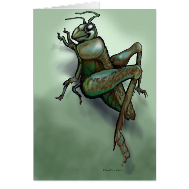 Grasshopper (Voorkant)