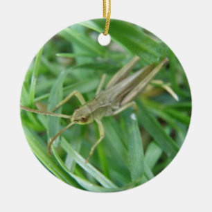 Grasshopper aangepaste verjaardag keramisch ornament