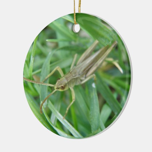 Grasshopper aangepaste verjaardag keramisch ornament (Links)