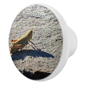 Grasshopper along a grey rock keramische knop (Rechts)