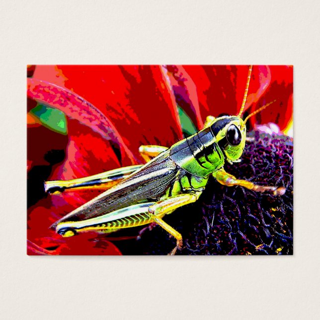Grasshopper ATC (Devant)