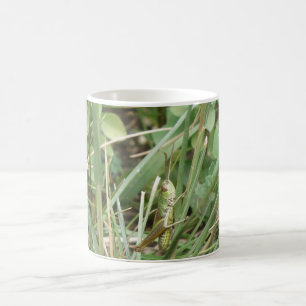 Grasshopper Camouflage Boug Mug