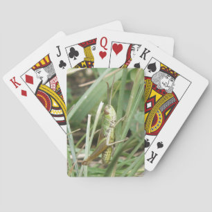 Grasshopper Camouflage Cartes de jeu