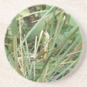 Grasshopper Camouflage-Onderzetters Zandsteen Onderzetter