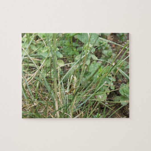 Grasshopper Camouflage Puzzle Legpuzzel (Horizontaal)